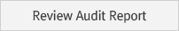 Review Audit Report